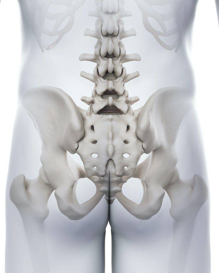 medically accurate illustration of the sacrum