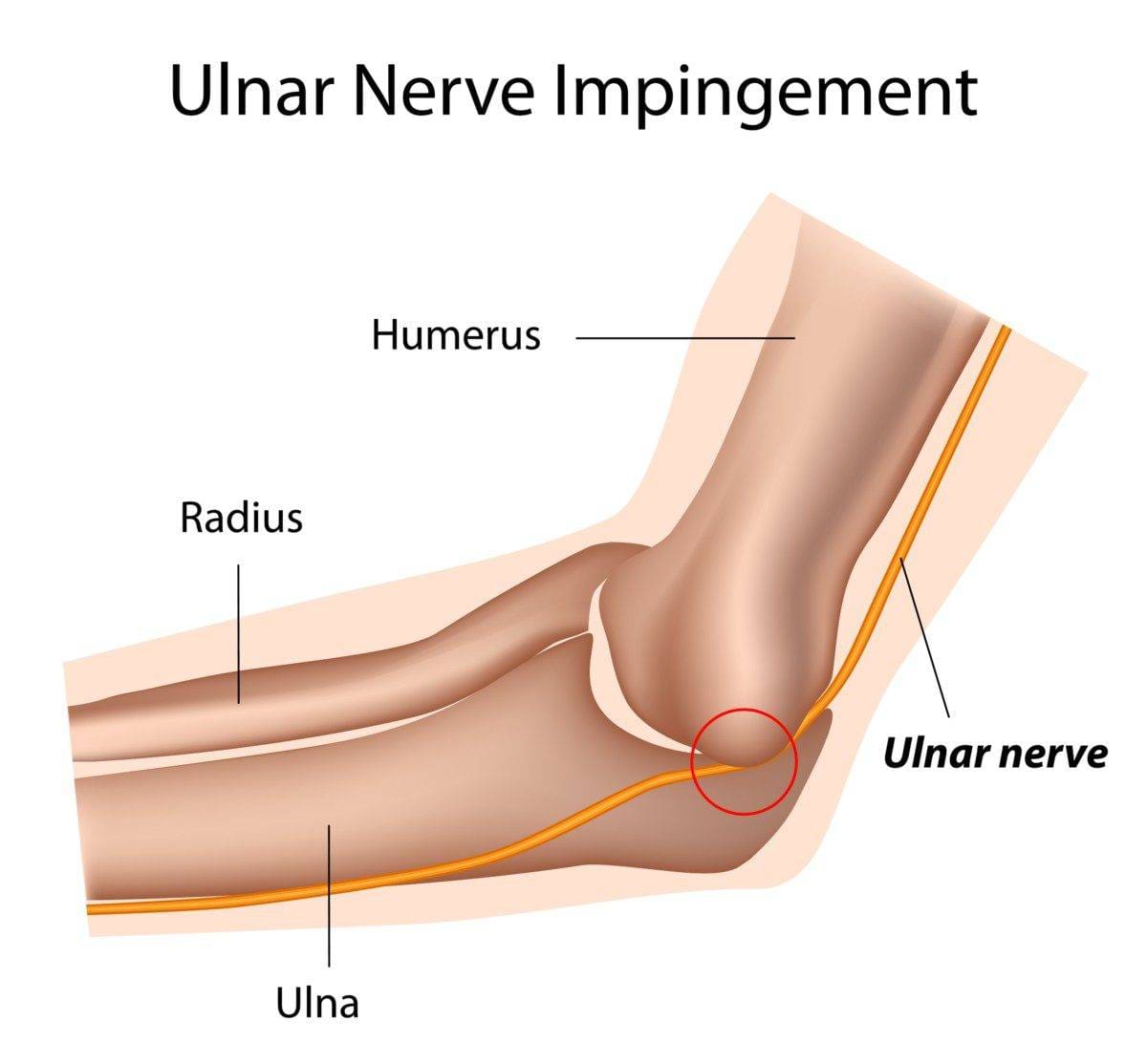 a diagram of the ulnar nerve